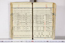 明い004020680030.jpg