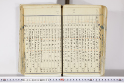 明い004020680036.jpg