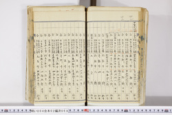 明い004020680038.jpg