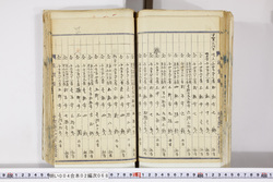 明い004020680040.jpg