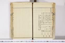 明い004020680041.jpg