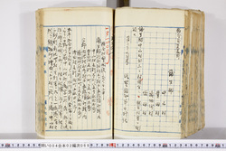 明い004020690002.jpg