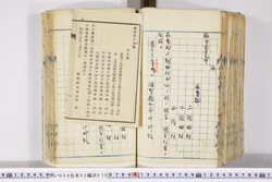 明い004020700002.jpg