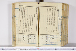 明い004020700003.jpg