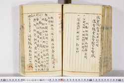 明い004020700008.jpg