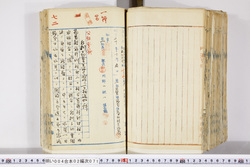 明い004020710008.jpg
