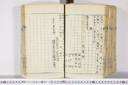 明い004020720002.jpg