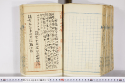 明い004020720003.jpg
