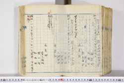 明い004020730003.jpg