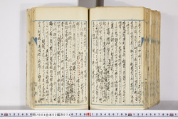 明い004020740006.jpg