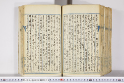 明い004020740007.jpg