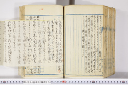 明い004020740008.jpg