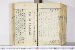 明い004020740010.jpg