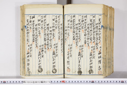 明い004020750005.jpg