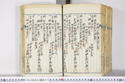 明い004020750006.jpg