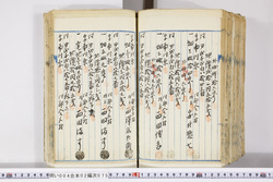 明い004020750007.jpg