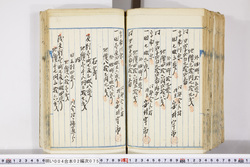 明い004020750009.jpg