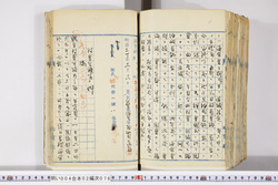 明い004020760008.jpg