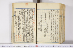 明い004020760009.jpg