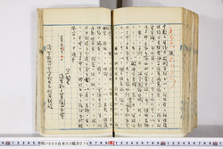 明い004020780003.jpg