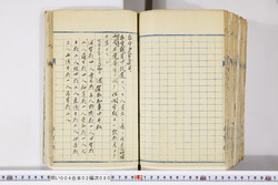 明い004020800002.jpg