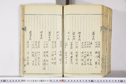 明い004020800004.jpg