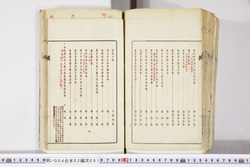 明い004020810003.jpg