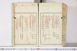 明い004020810007.jpg