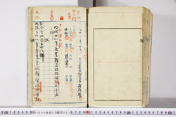 明い004020810014.jpg