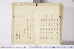 明い004020820016.jpg