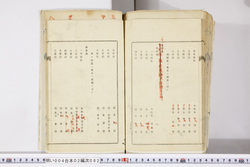 明い004020820017.jpg