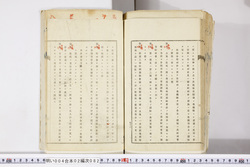 明い004020820021.jpg