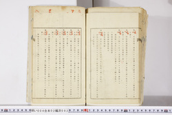 明い004020820022.jpg