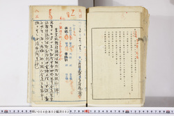明い004020820024.jpg