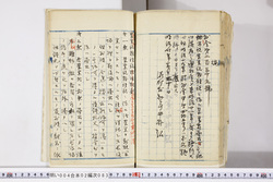 明い004020830002.jpg
