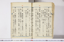 明い004020830003.jpg