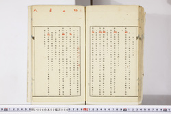 明い004020840003.jpg