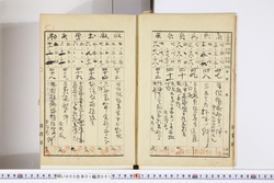 明い005010010005.jpg