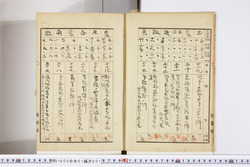 明い005010010006.jpg