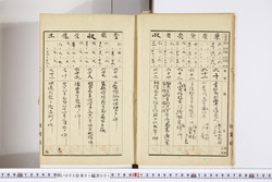 明い005010010007.jpg