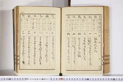 明い005020010003.jpg