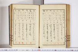 明い005020010004.jpg