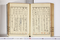 明い005020010006.jpg