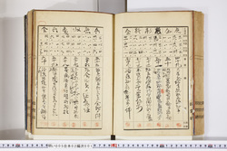 明い005020010007.jpg