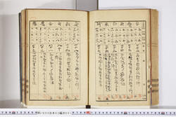明い005020010009.jpg
