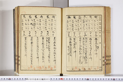 明い005020010010.jpg