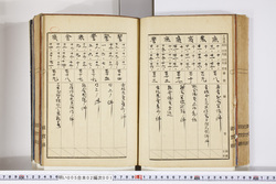 明い005020010012.jpg