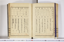 明い005030010003.jpg