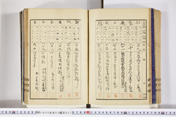 明い005030010011.jpg