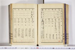 明い005030010013.jpg